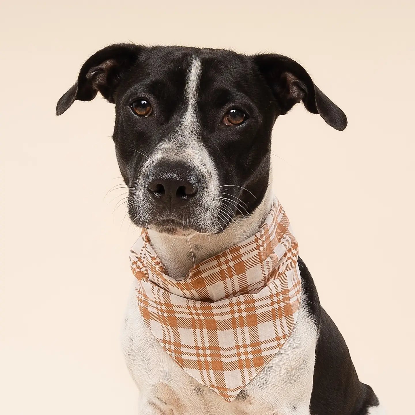 Ginger Plaid Bandana