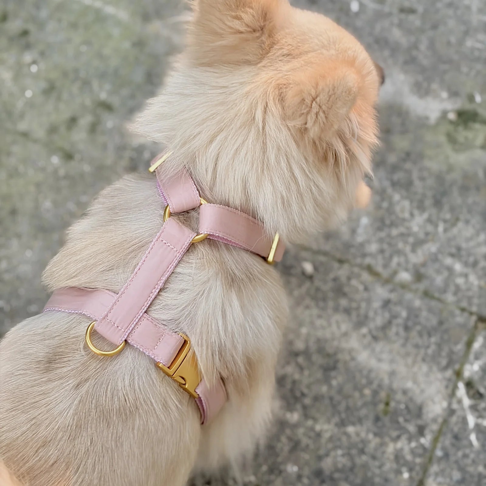 Harness Cotton - Blush