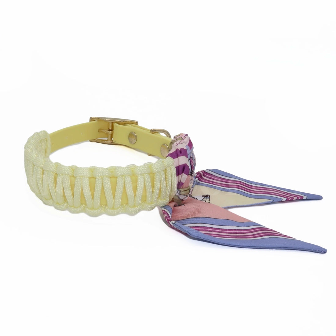 Foulie Collar | Golden Gallop