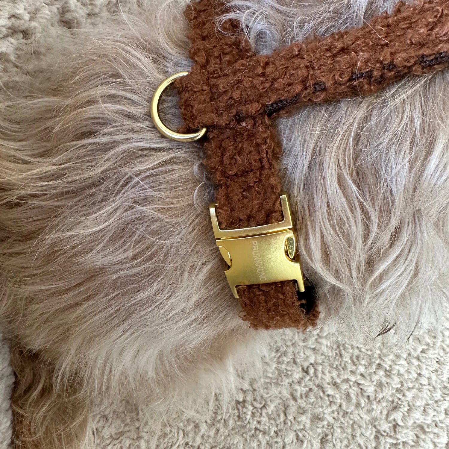Harness Teddy - Caramel