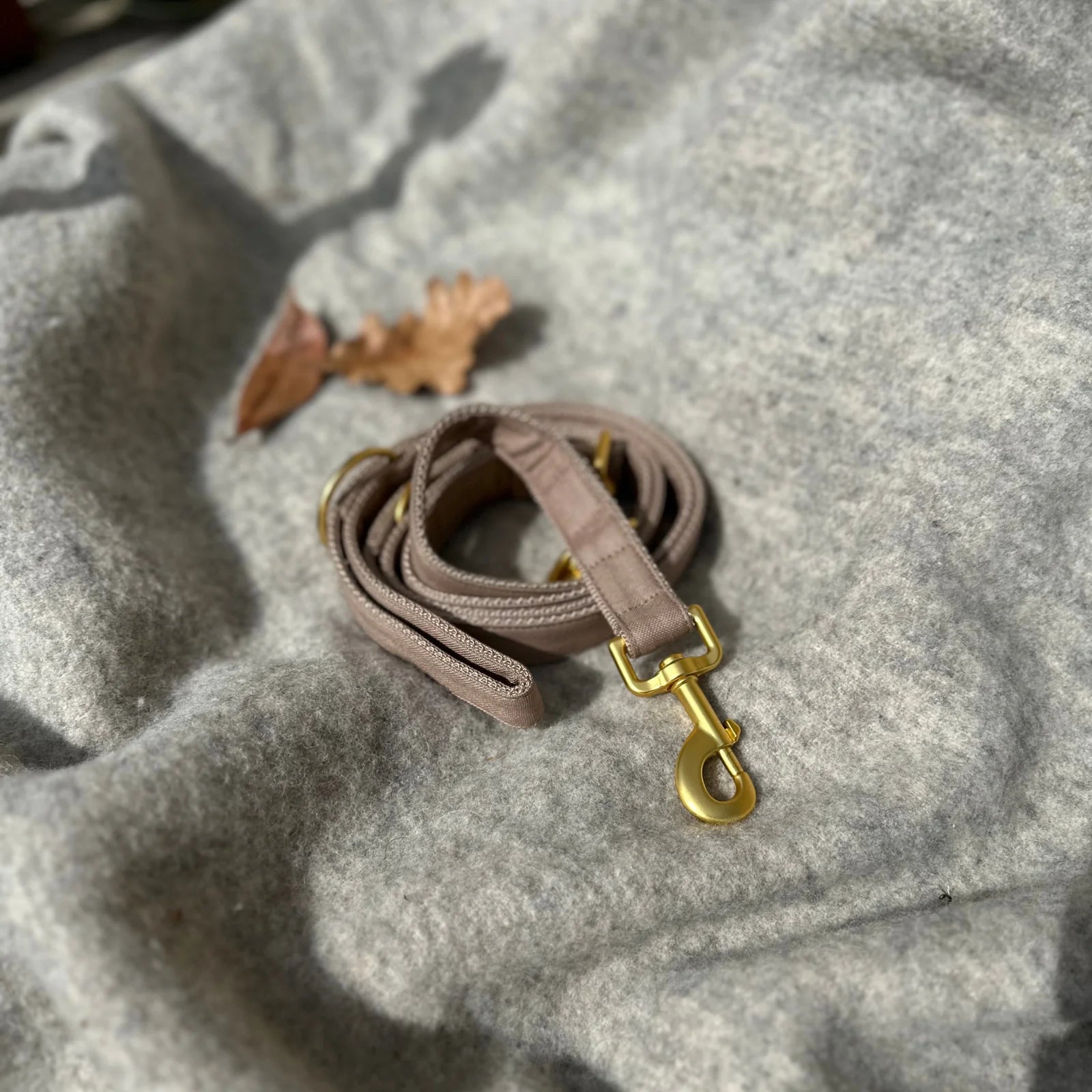 Leash Minimal - Tan