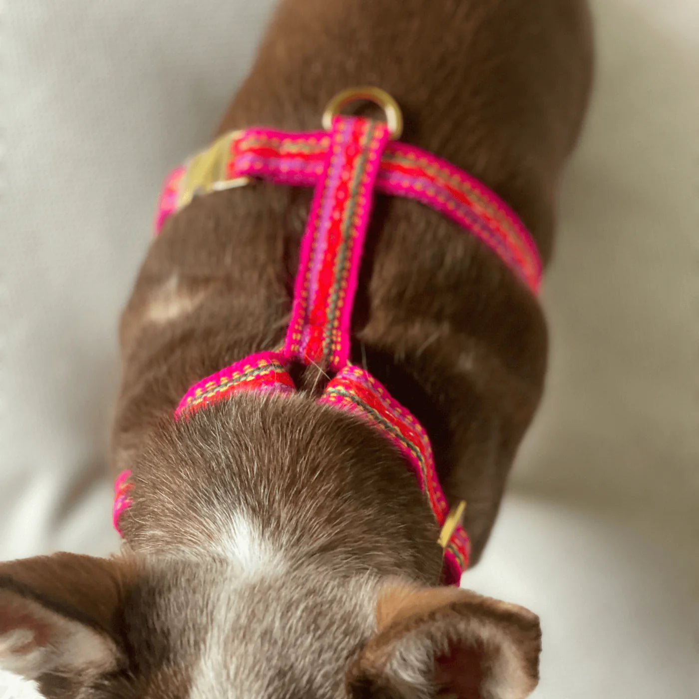 Harness Ibiza - Pink