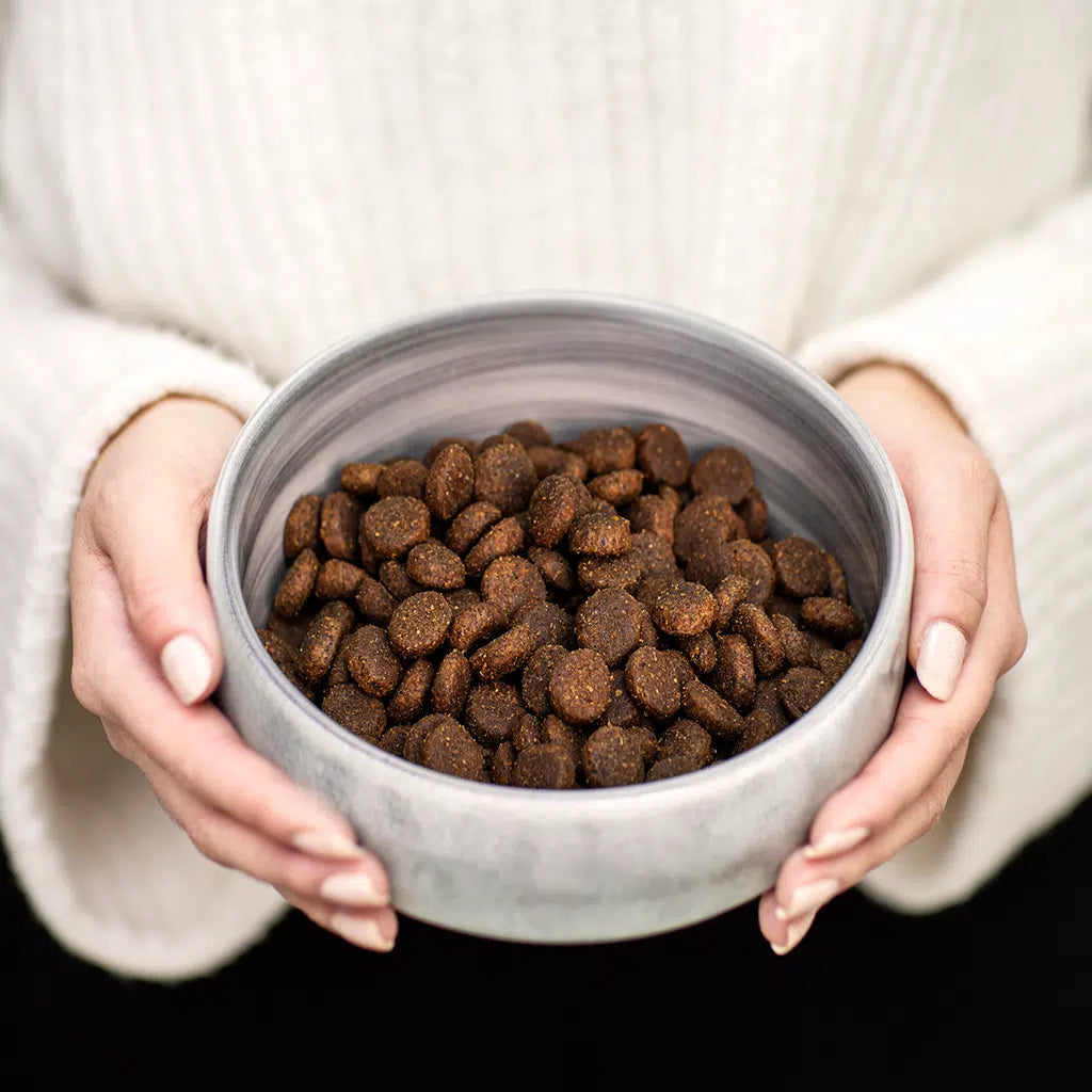 Wild Caught Salmon|Light/Senior|Dog Kibble|100% Grain Free Dog Food