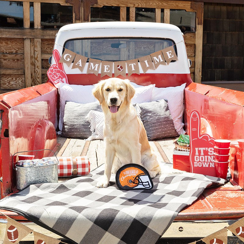 Play Like A Champion