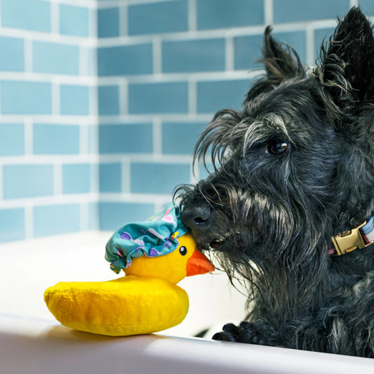 Bubbles the Duck