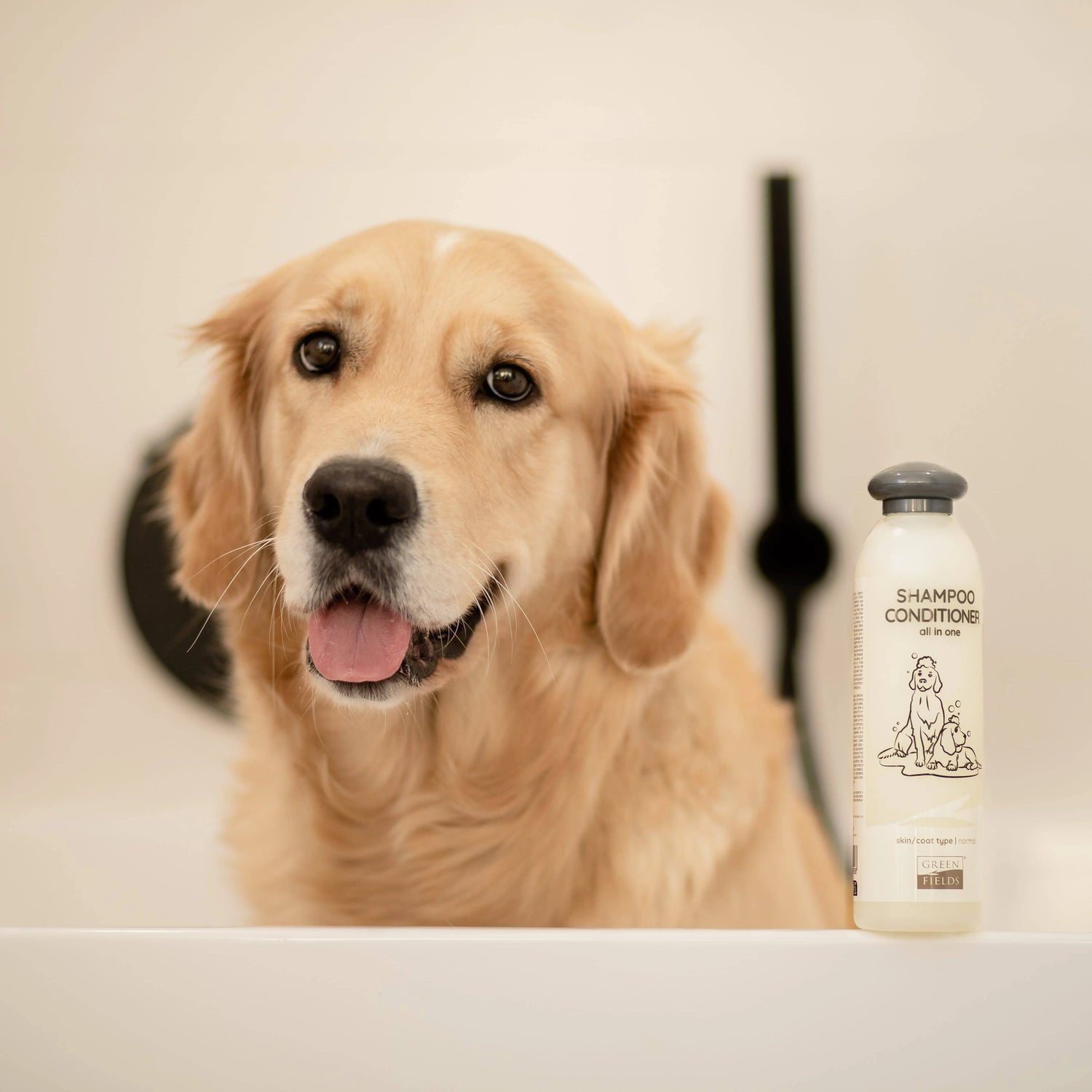 Yorkshire Terrier Care Set | Silky Coat