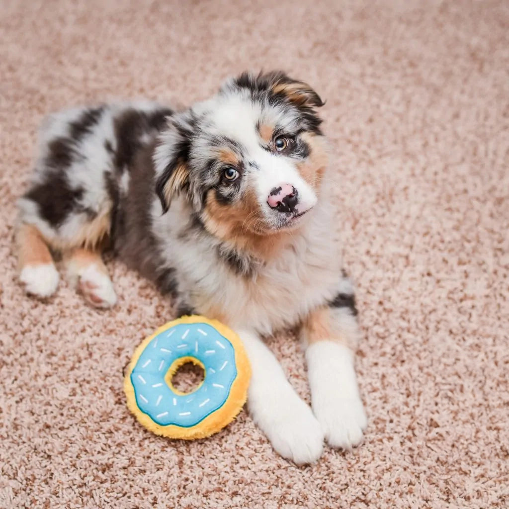 Mini Donut - Blueberry