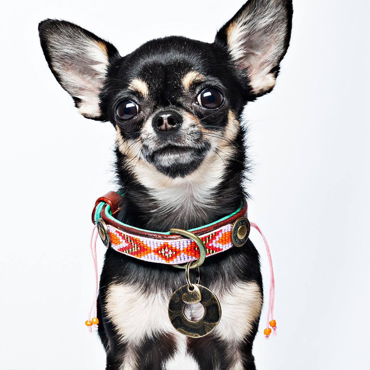Sweet Mae Collar