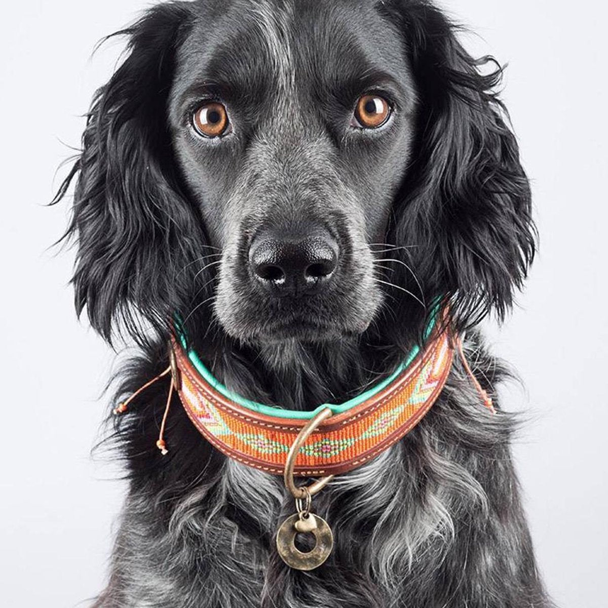 Tiger Lily Collar