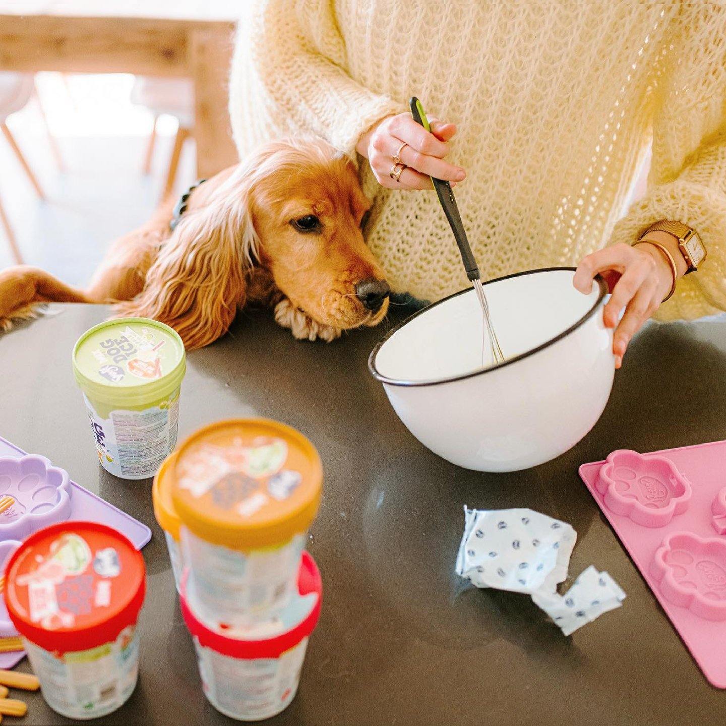 Mould for ice cream - Medium - Pet-à-Porter
