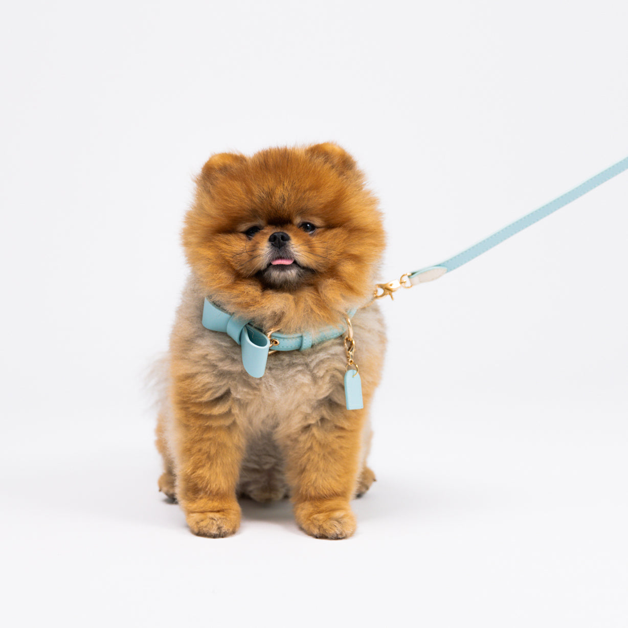 Sky Blue - Vegan Leather Collar