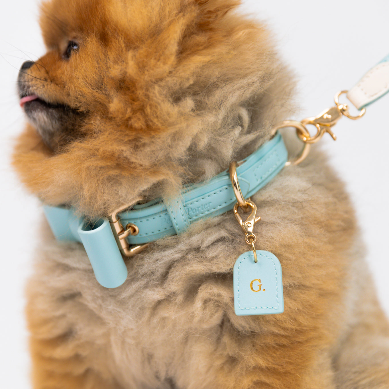 Sky Blue - Vegan Leather Collar