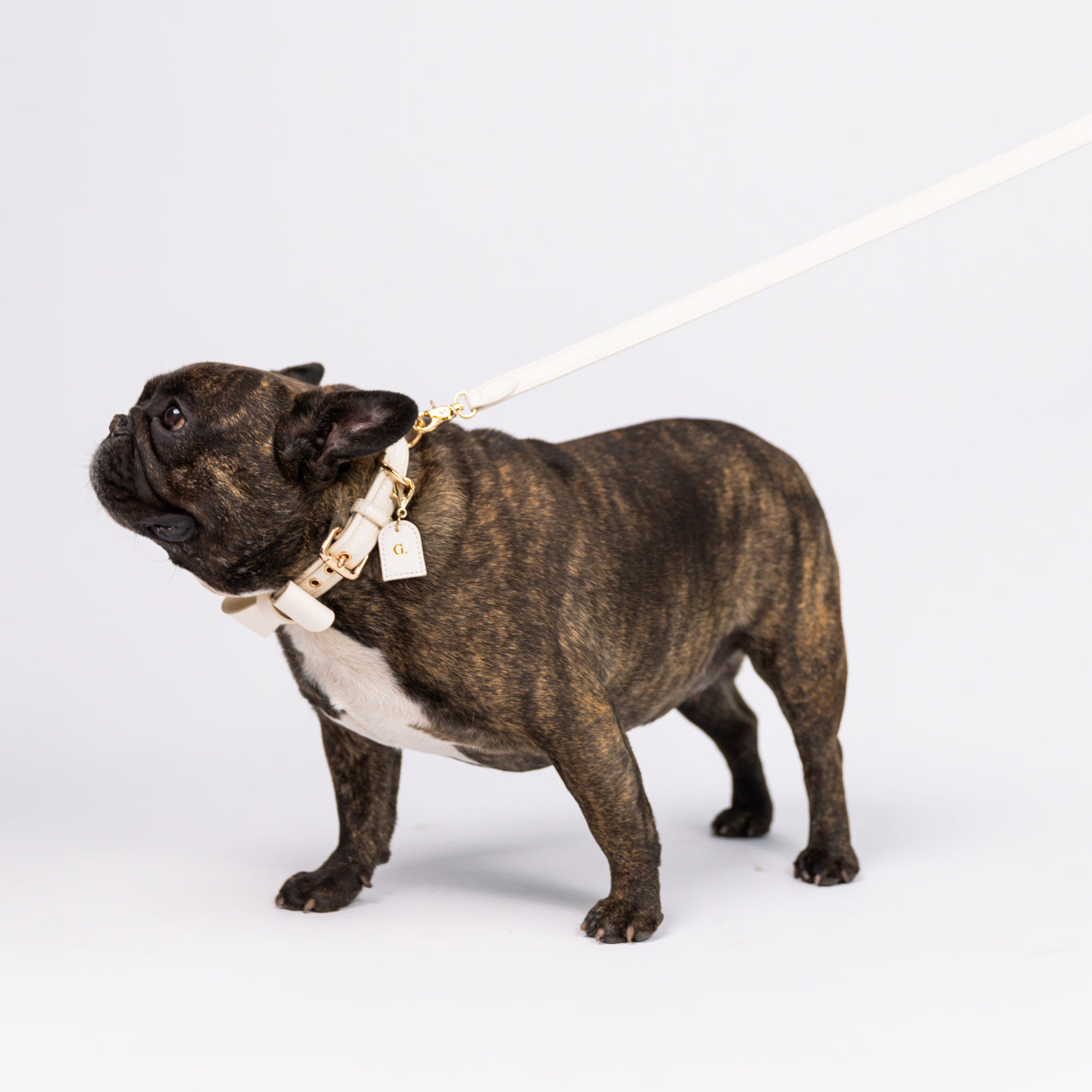 Ivory Cloud - Vegan Leather Collar