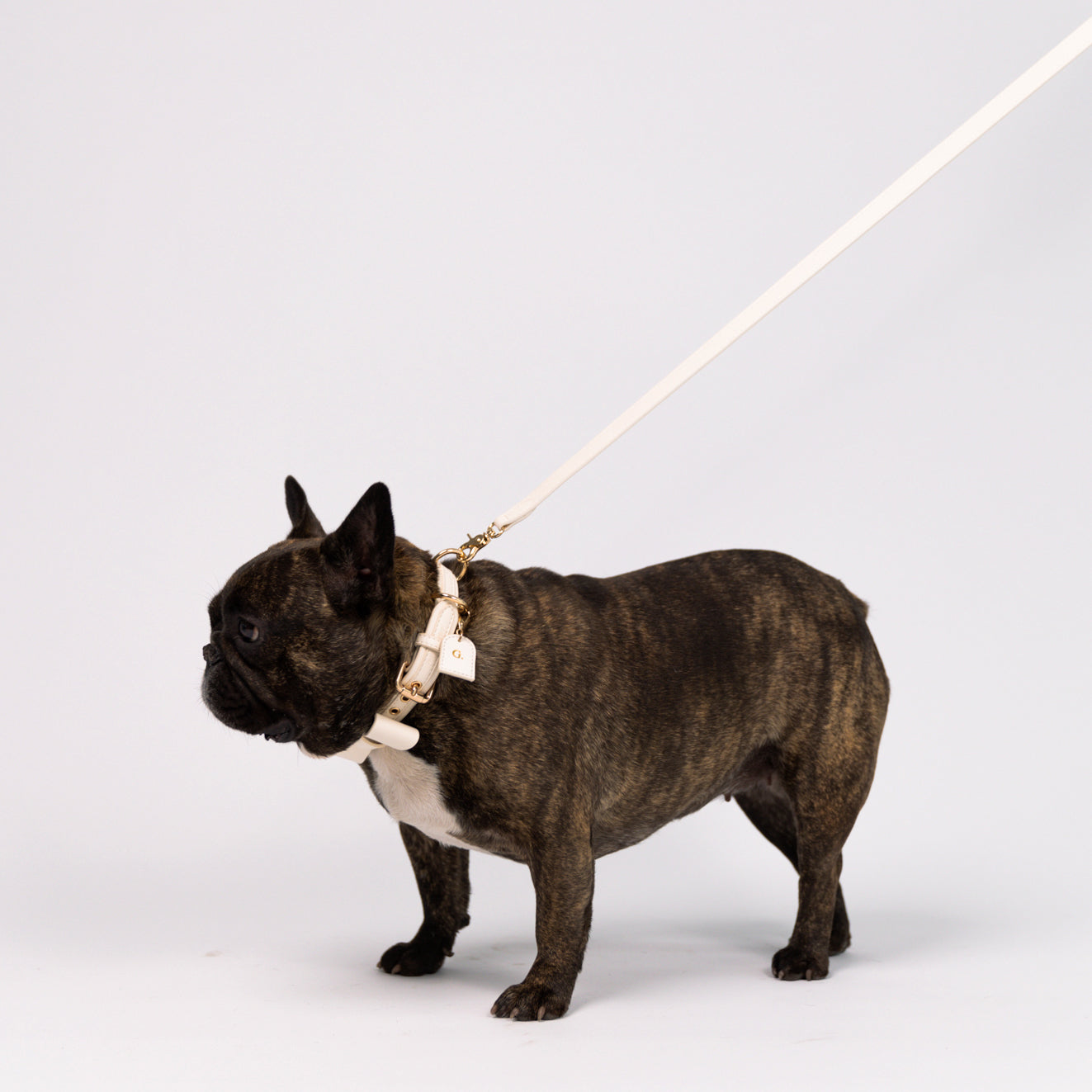 Ivory Cloud - Vegan Leather Leash