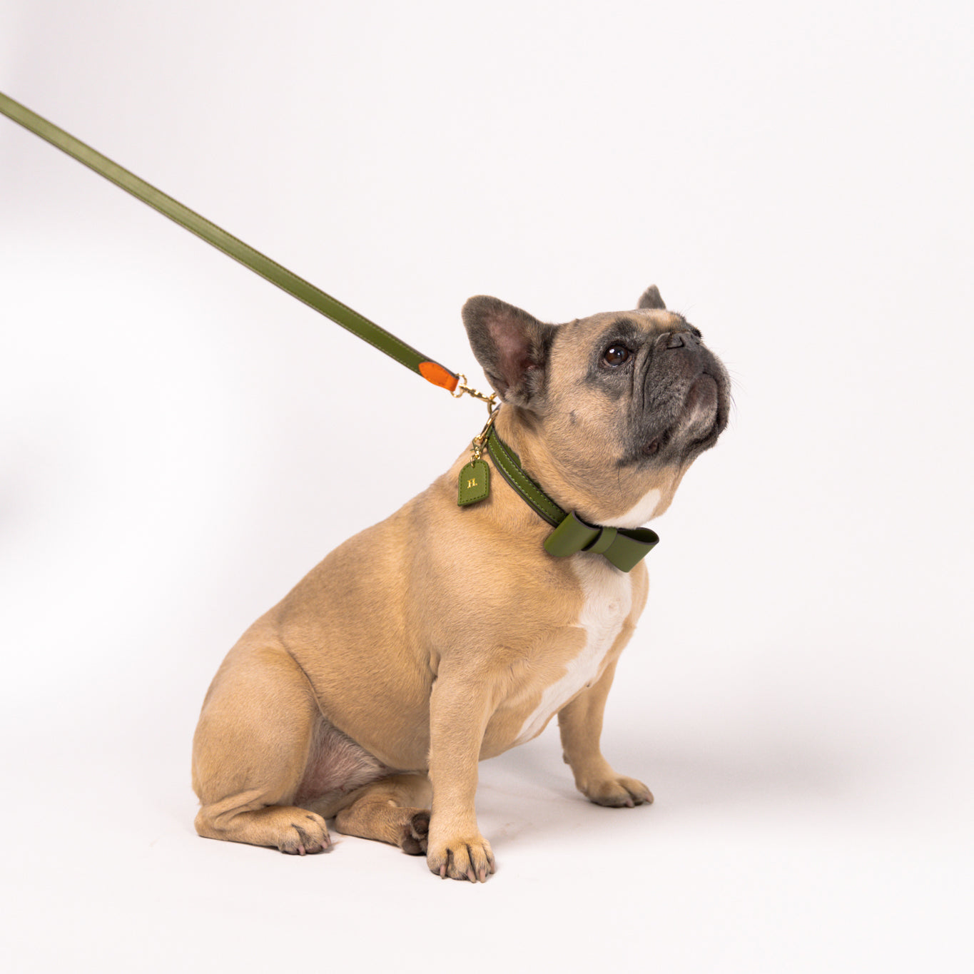 Khaki - Vegan Leather Leash