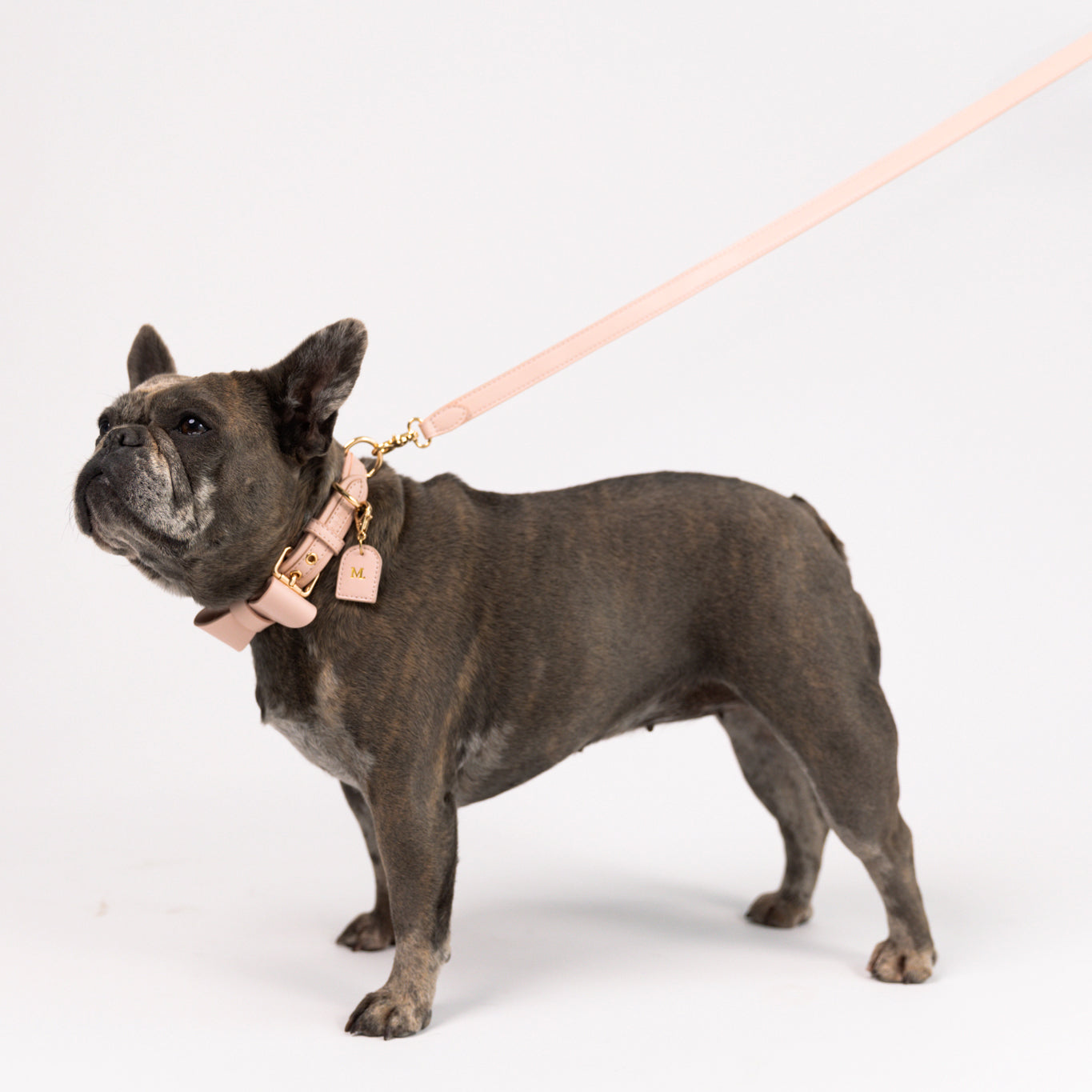 Rose Quartz - Vegan Leather Leash