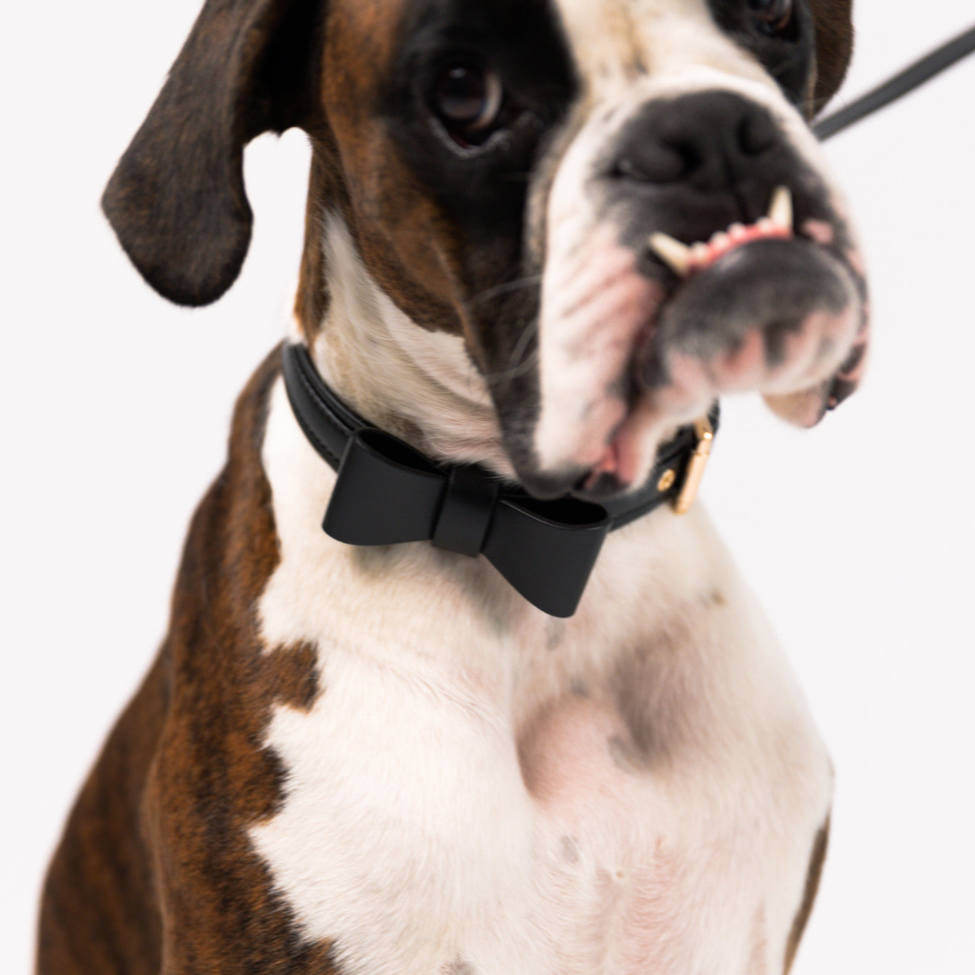 Onyx Black - Vegan Leather Bowtie