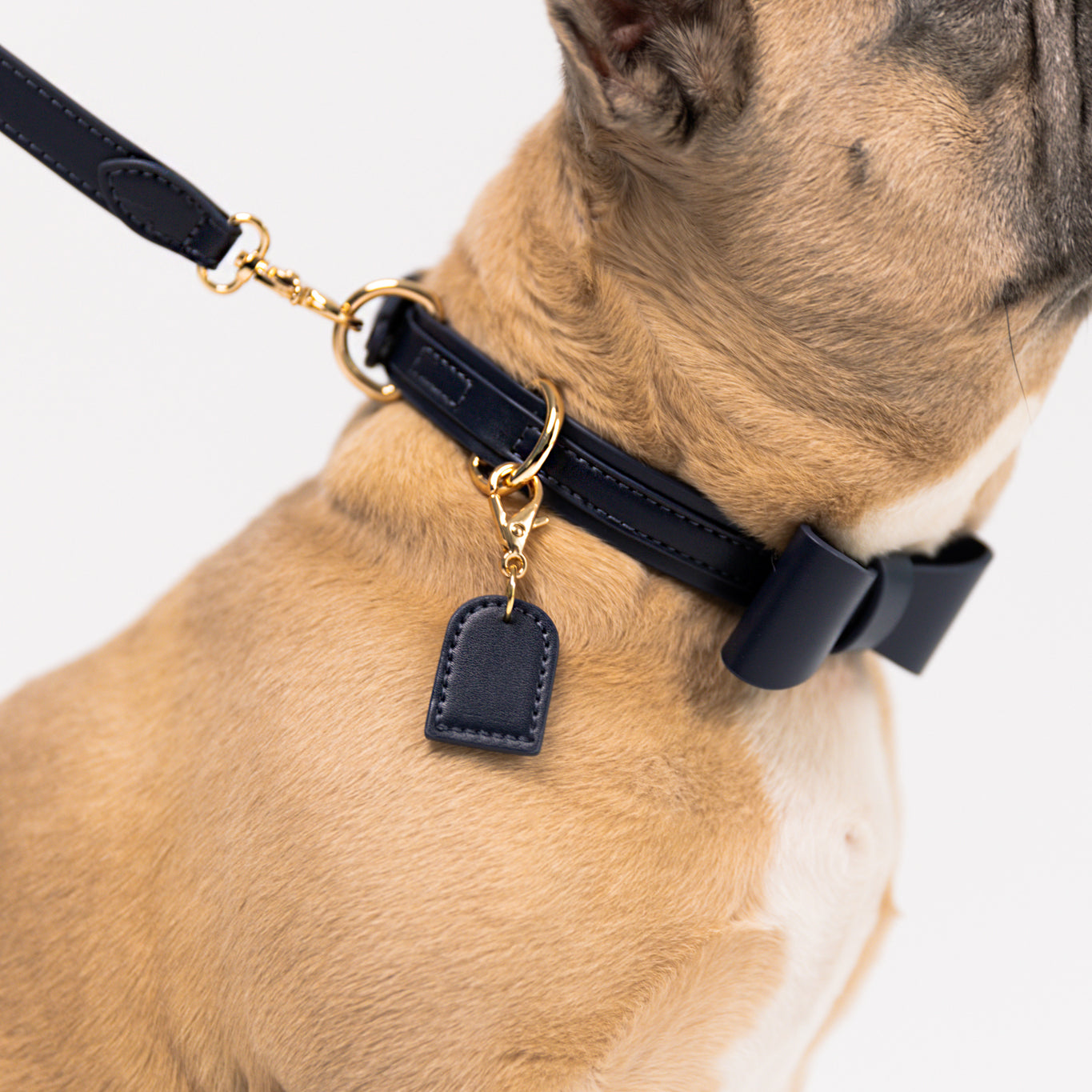 Midnight Blue - Vegan Leather Collar