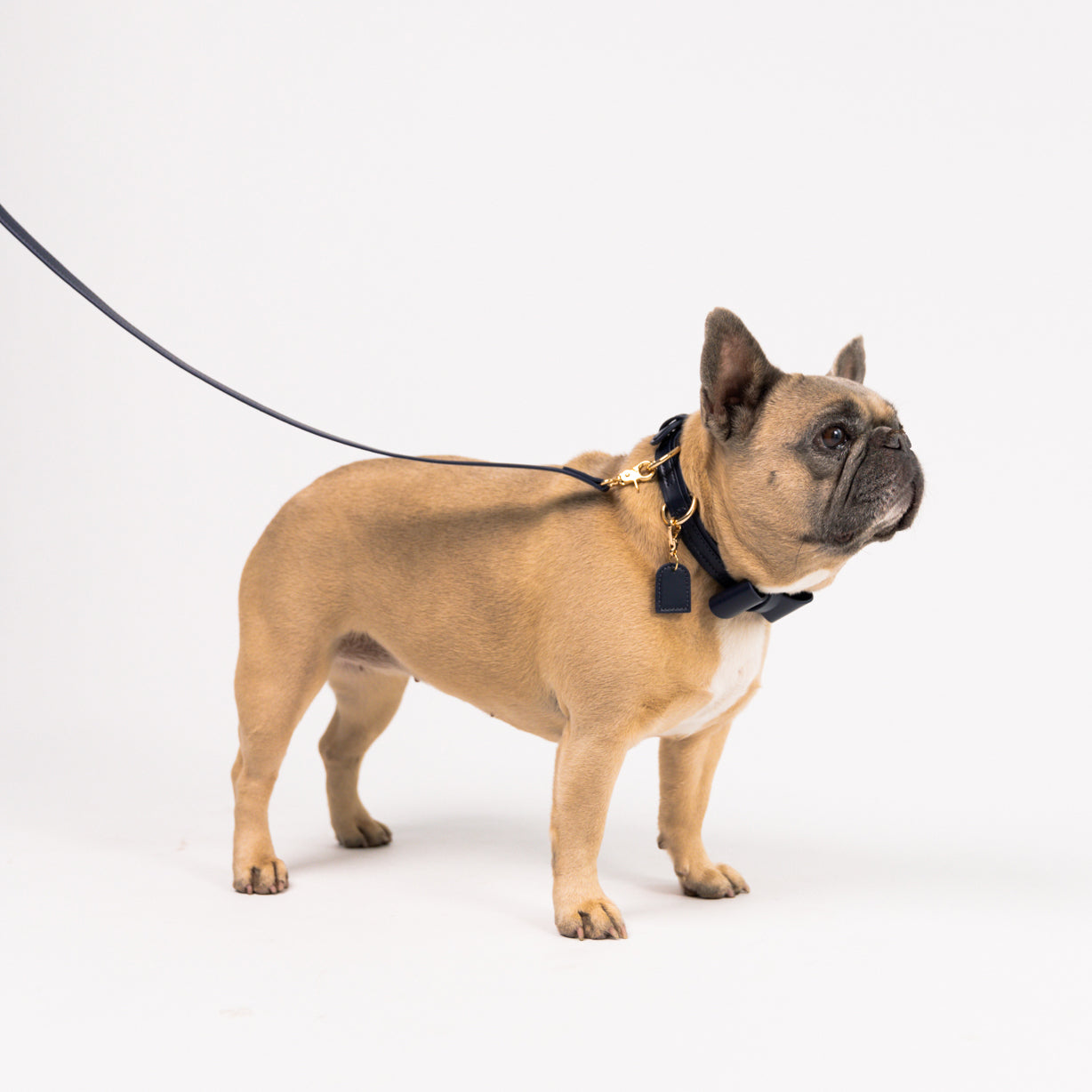 Midnight Blue - Vegan Leather Collar