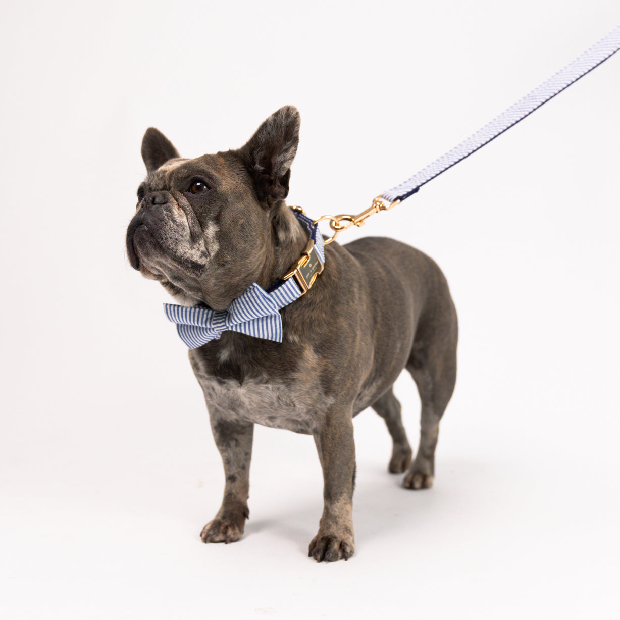 French Riviera - Set