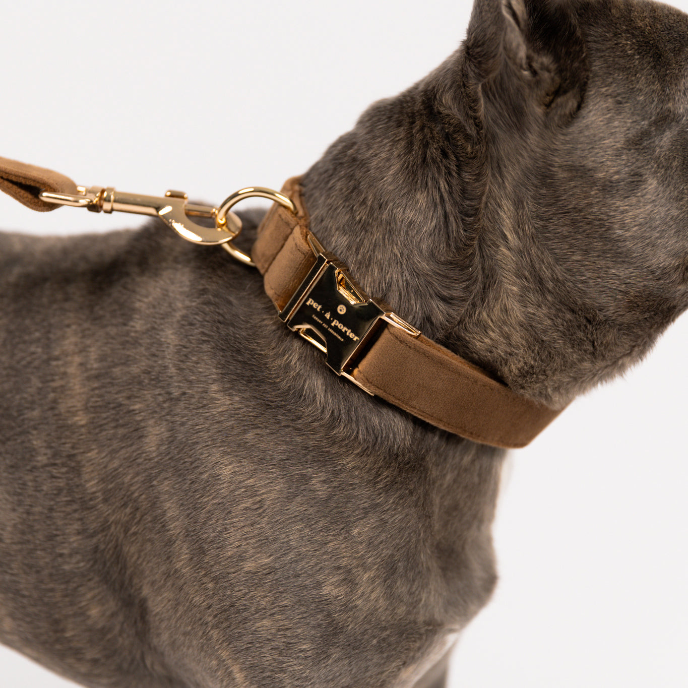 Iced Latte - Velvet Set