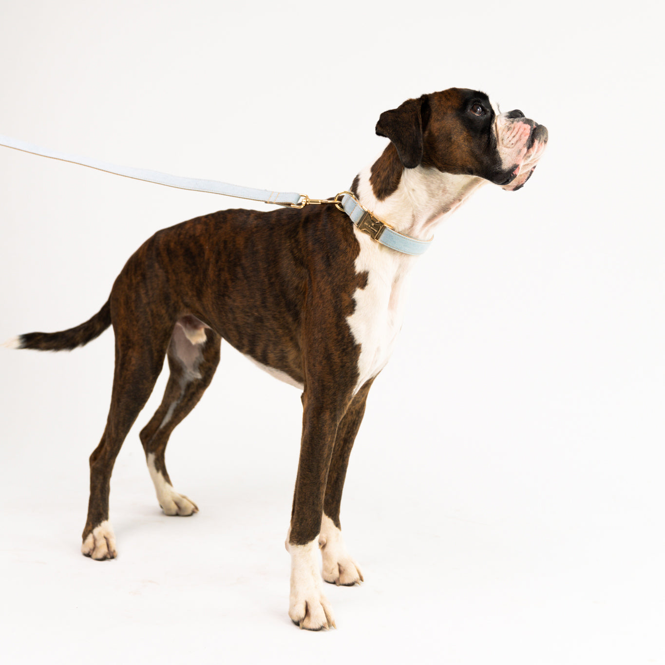 Billie-Jeans - denim Set