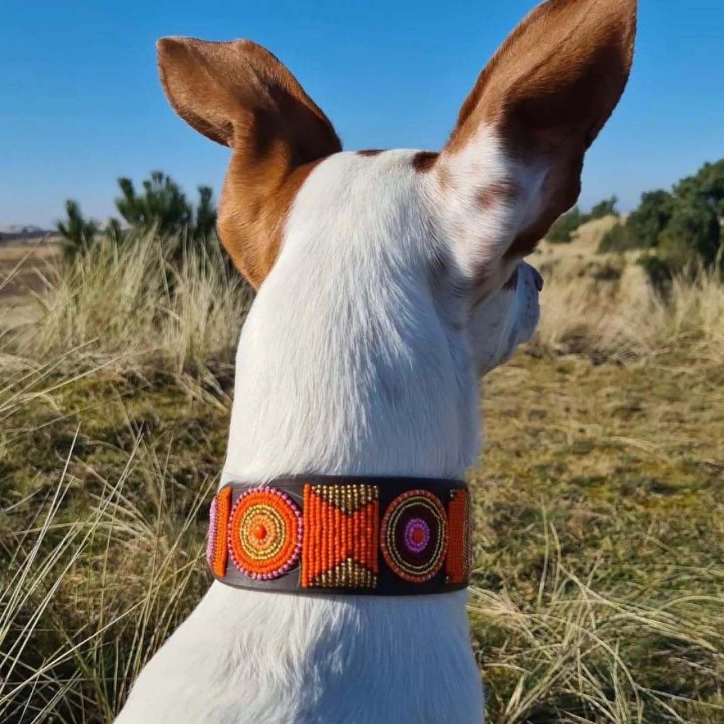 Beaded Lurcher - Framboise