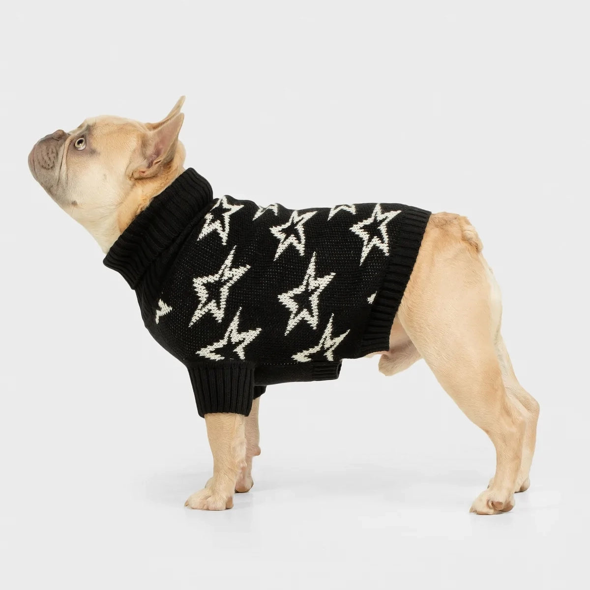 Shine Bright Sweater