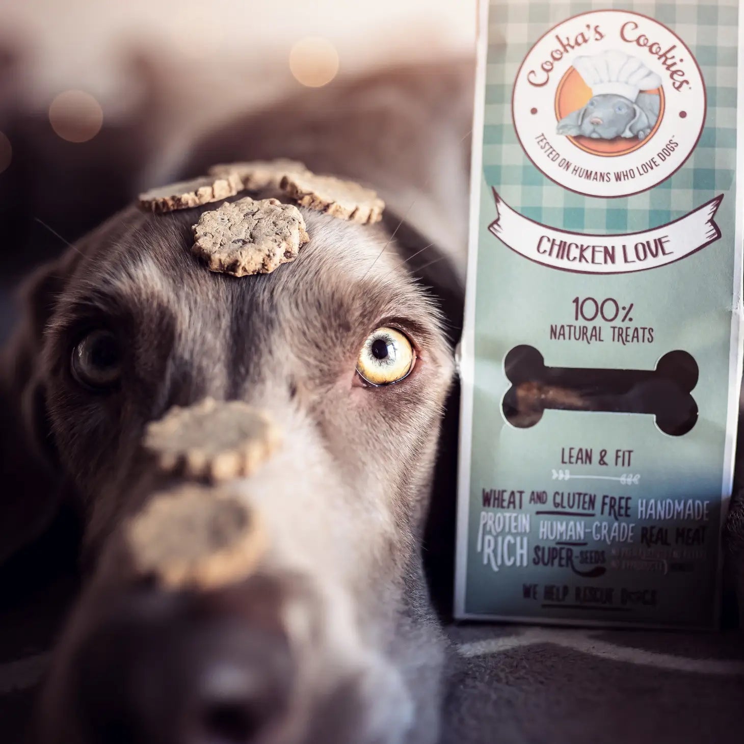 Chicken Love | Natural Dog Treats