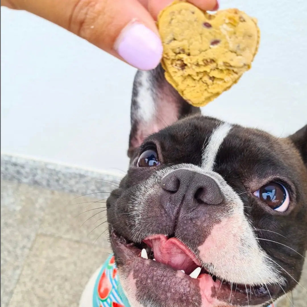Chicken Love | Natural Dog Treats