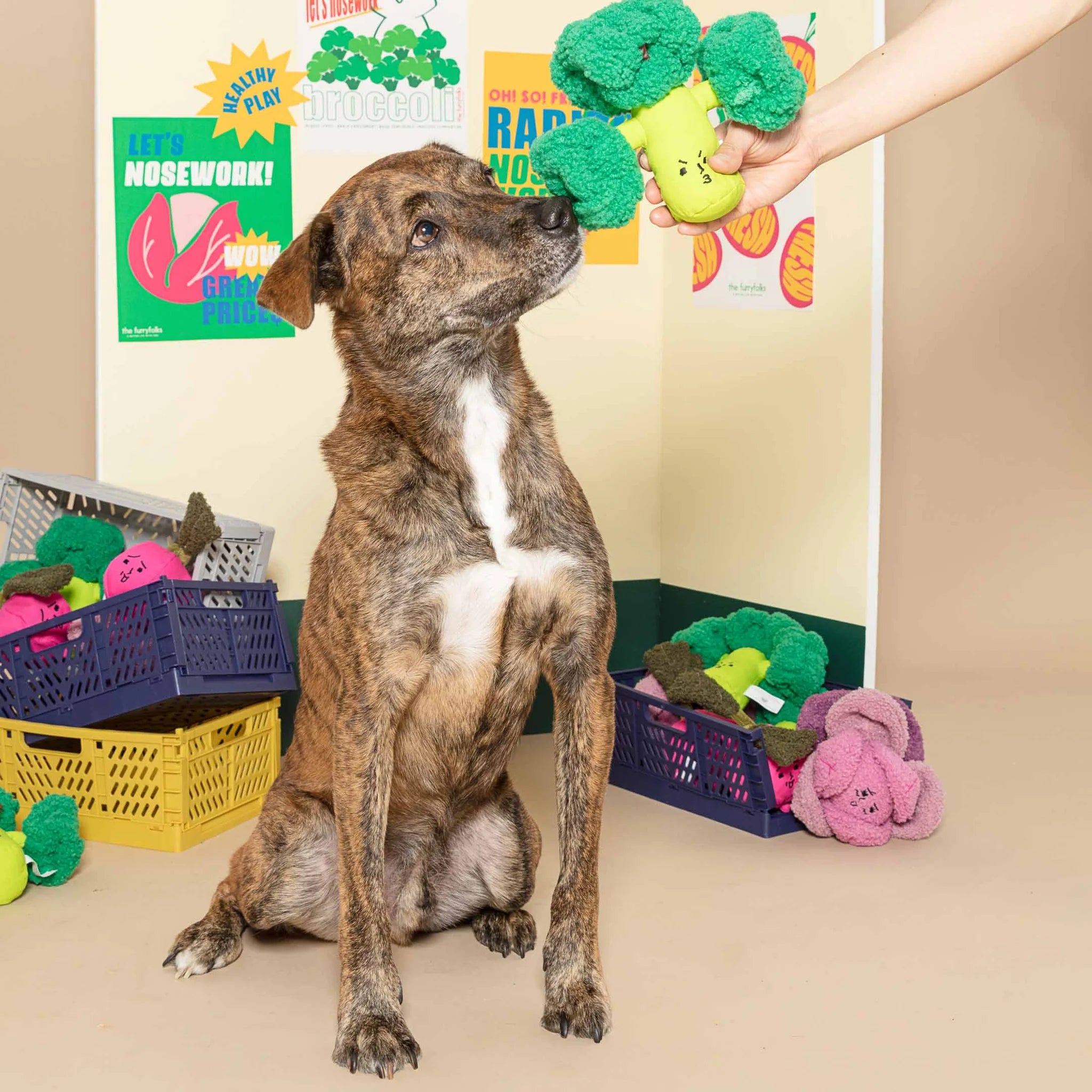Broccoli Nosework Toy