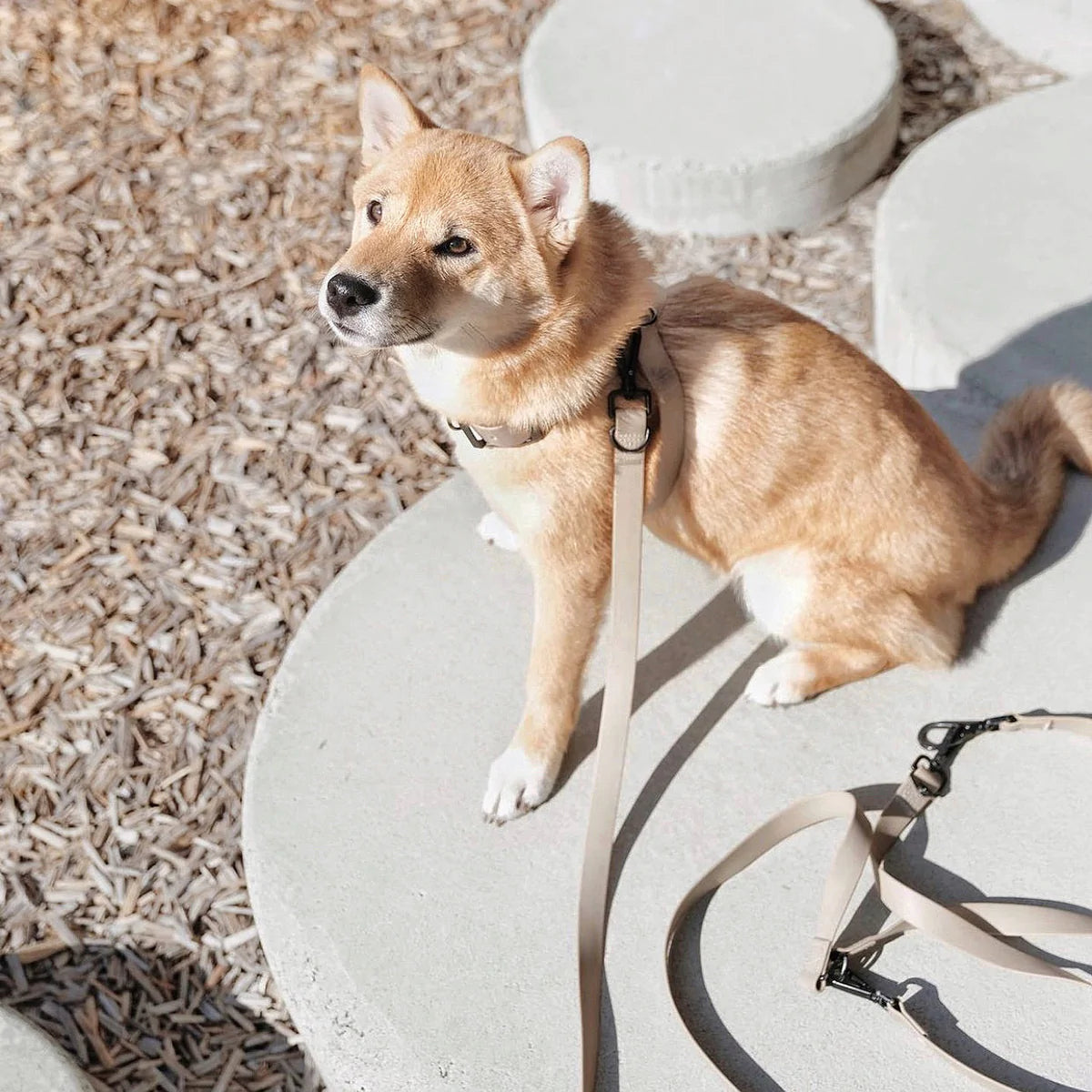 Mellem Waterproof Leash