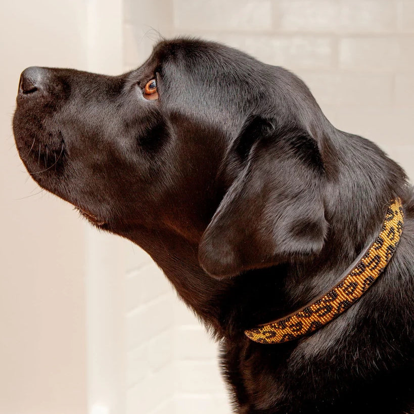 Beaded Dog Collar - Leopard