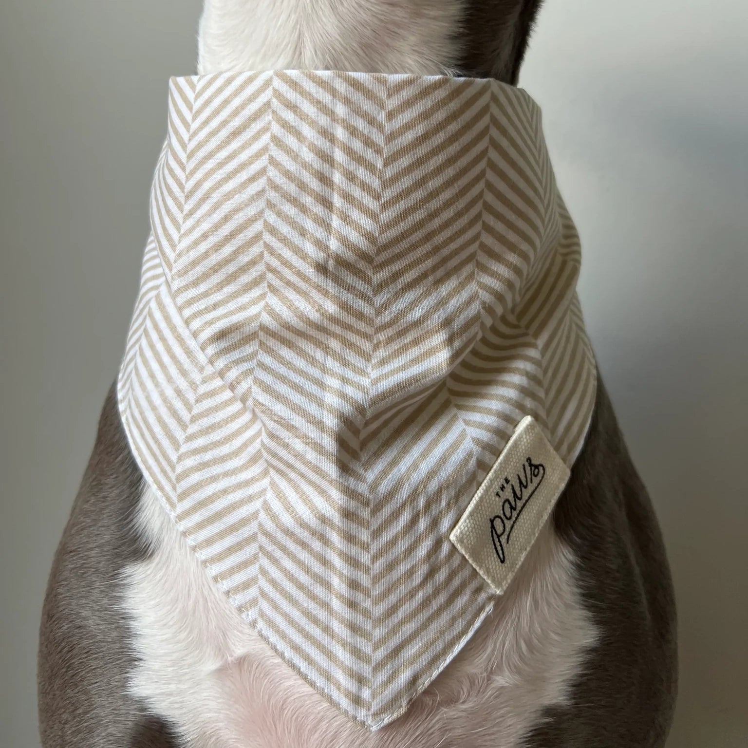 Herringbone Bandana