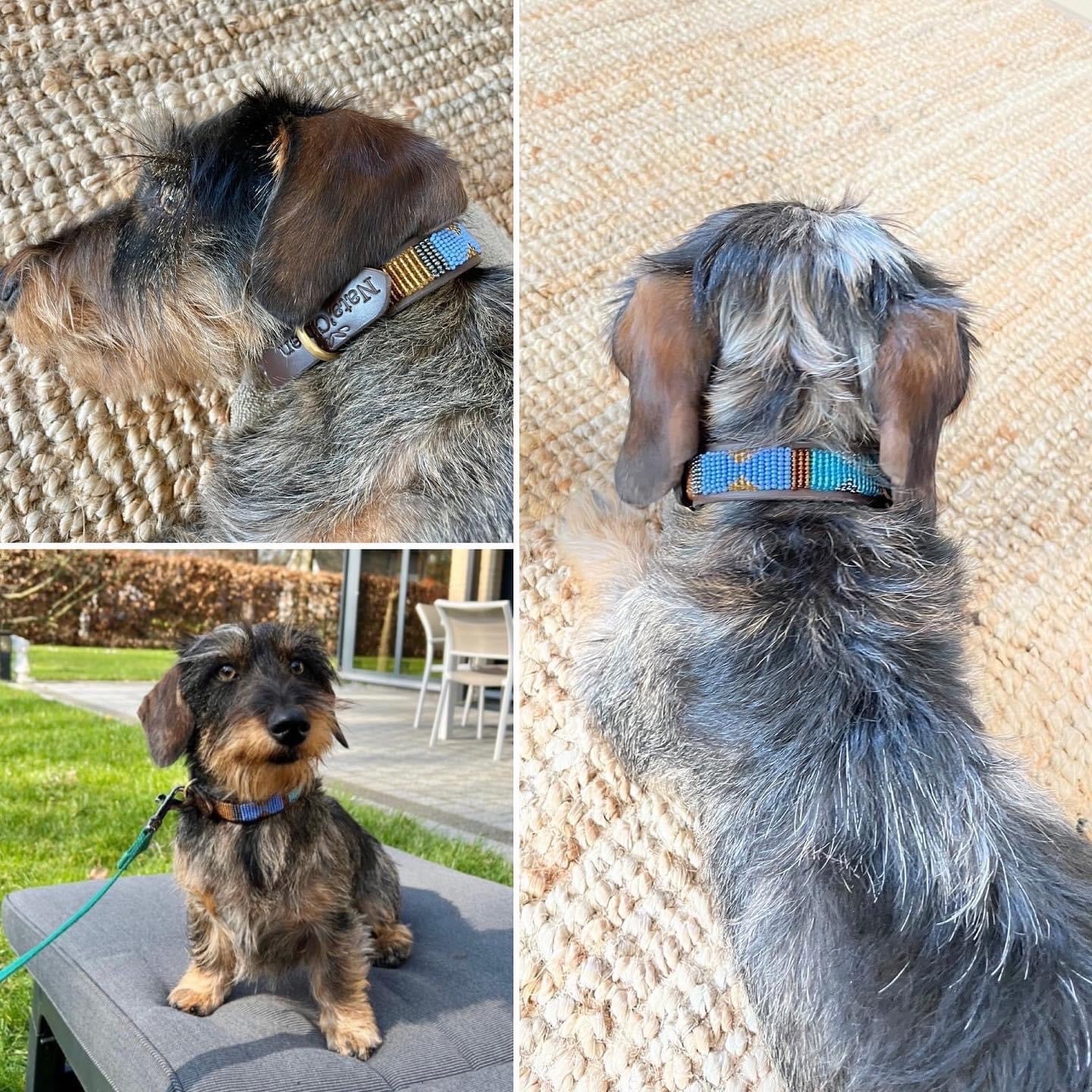 Beaded Dog Collar - Stitch