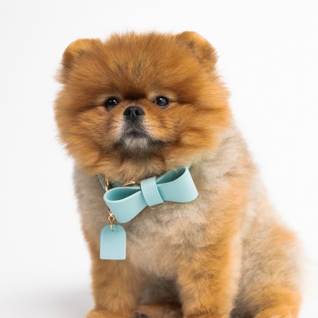 Sky Blue - Vegan Leather Bowtie