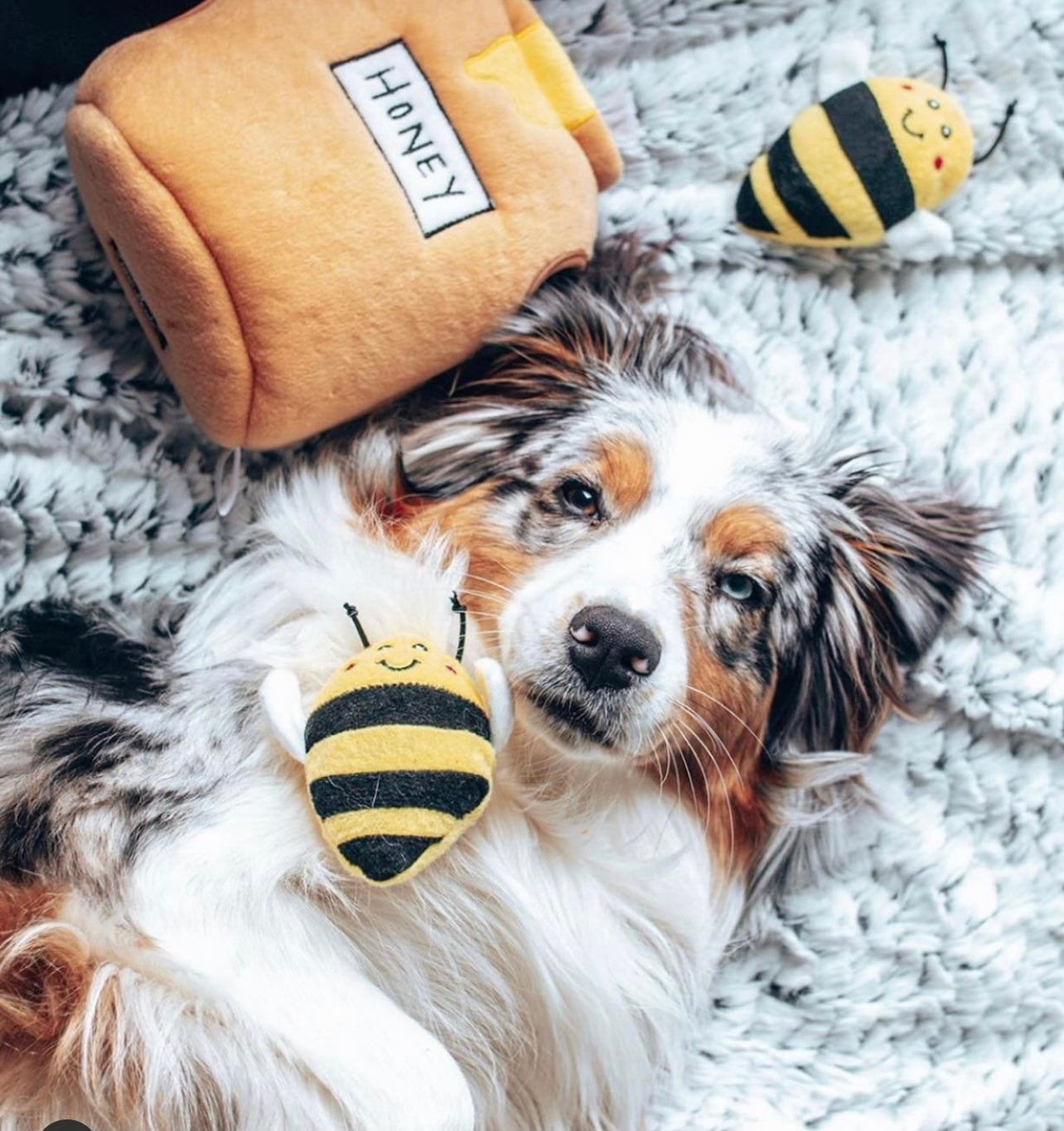 Zippy Burrow™ - Honey Pot