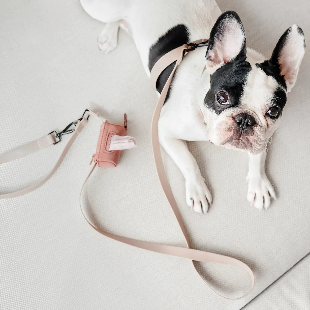 Mellem Waterproof Leash