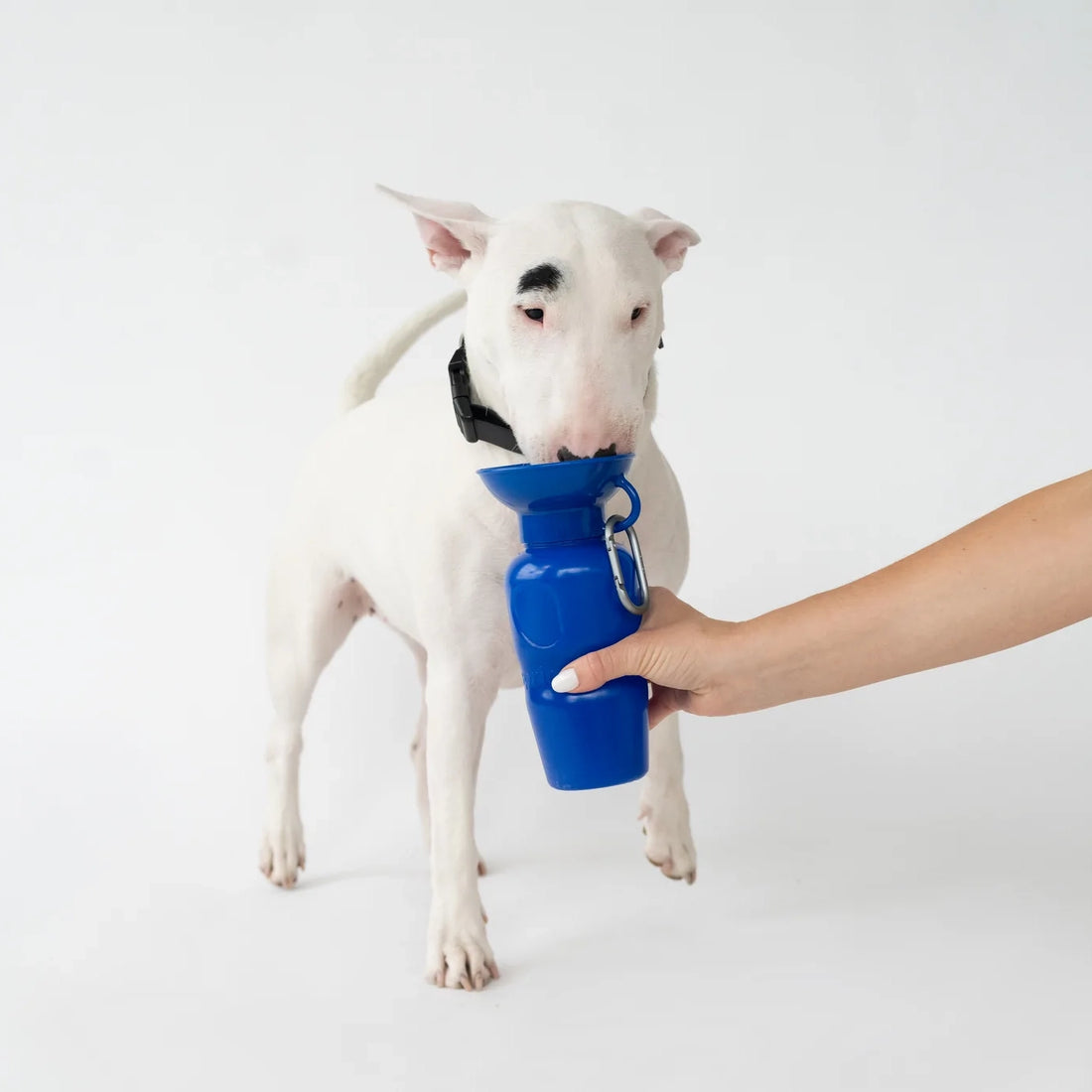 Travel Water Bottle - Indigo