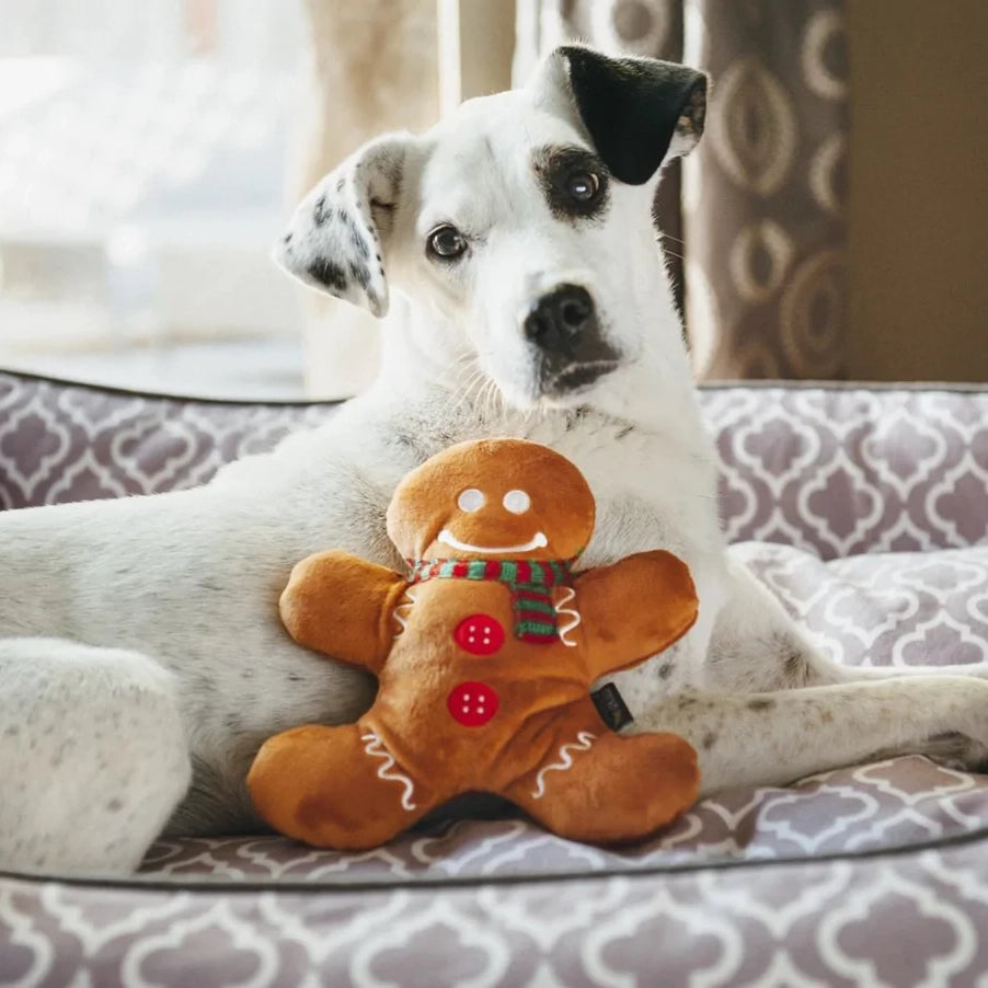 Holly Jolly Gingerbread Man
