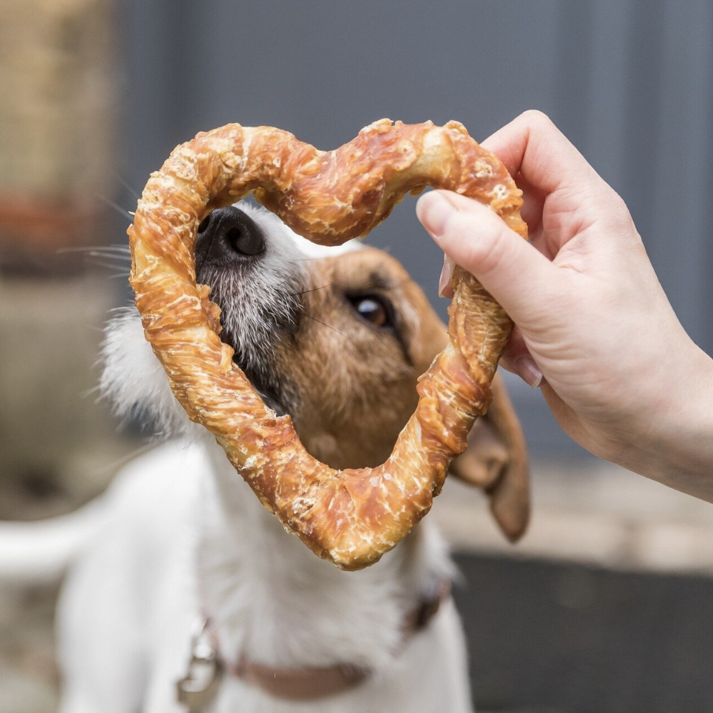 Heart Chew - Chicken