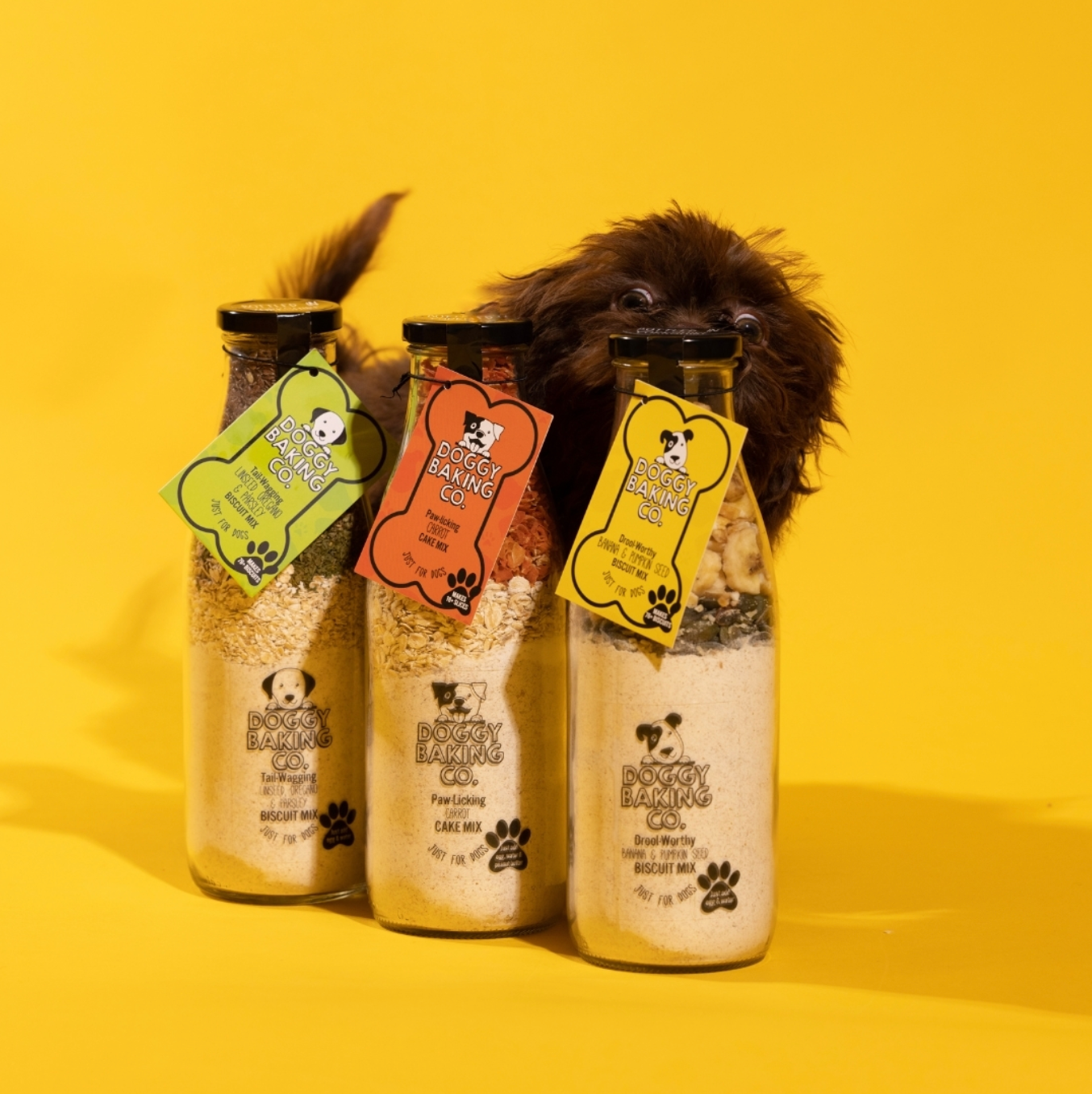 Linseed, Oregano & Parsley Bottled Doggy Baking Mix - 750ml