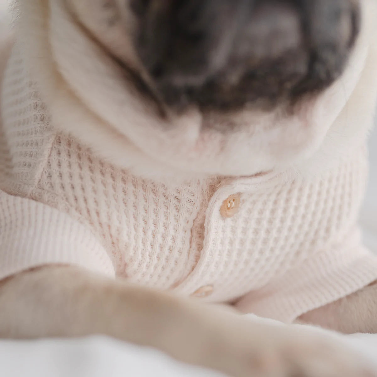 Waffle Knit Tee