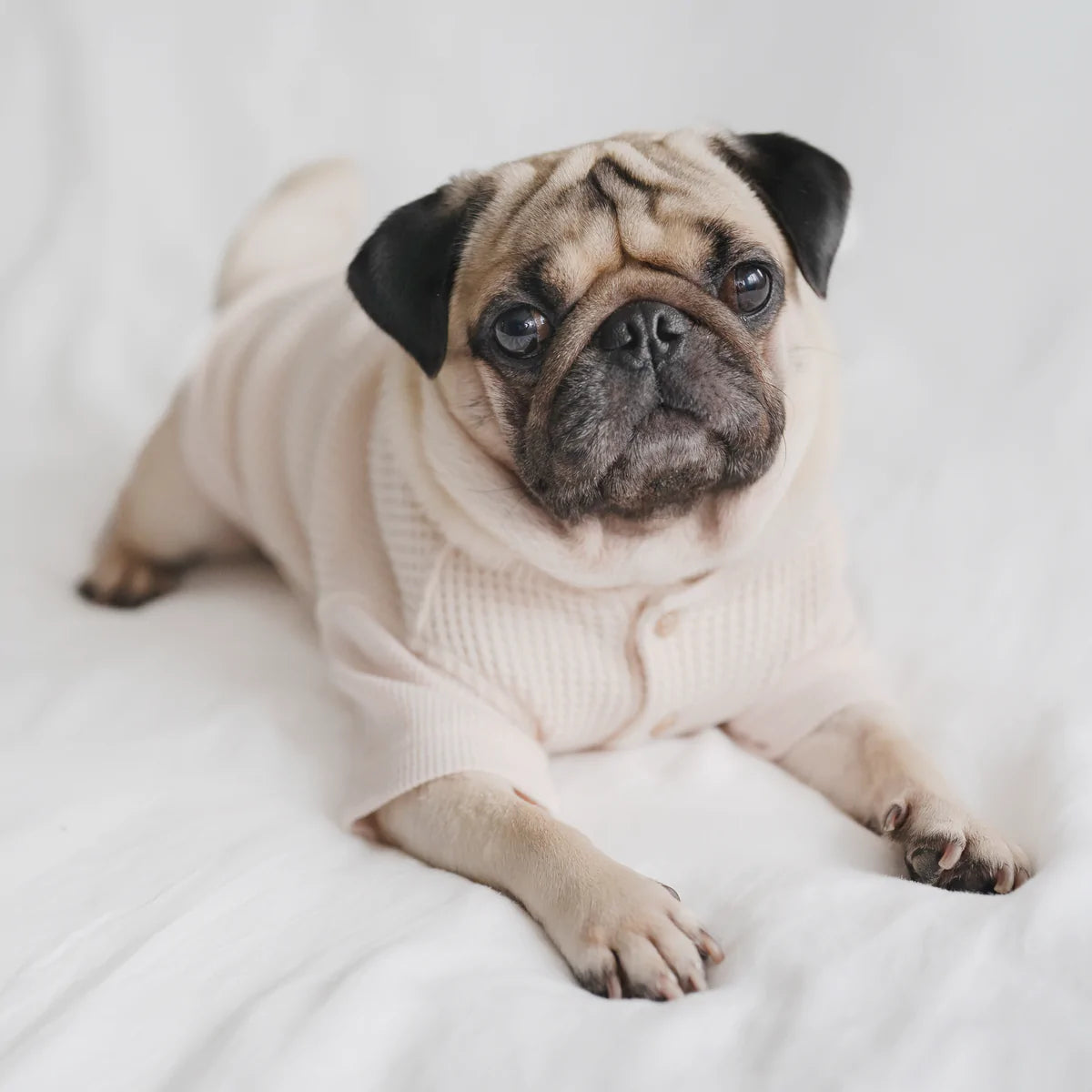 Waffle Knit Tee