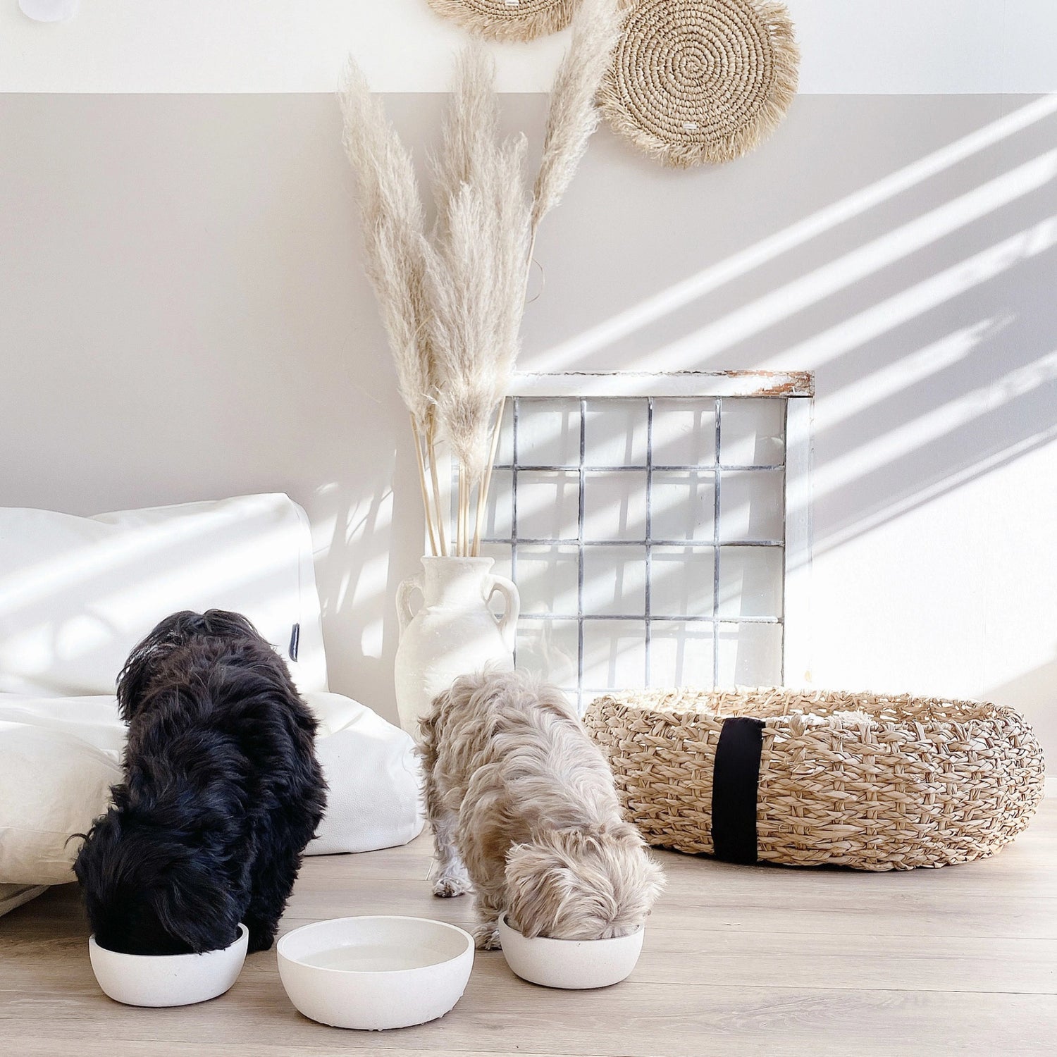 Bamboo Dog Bowl - Merengue