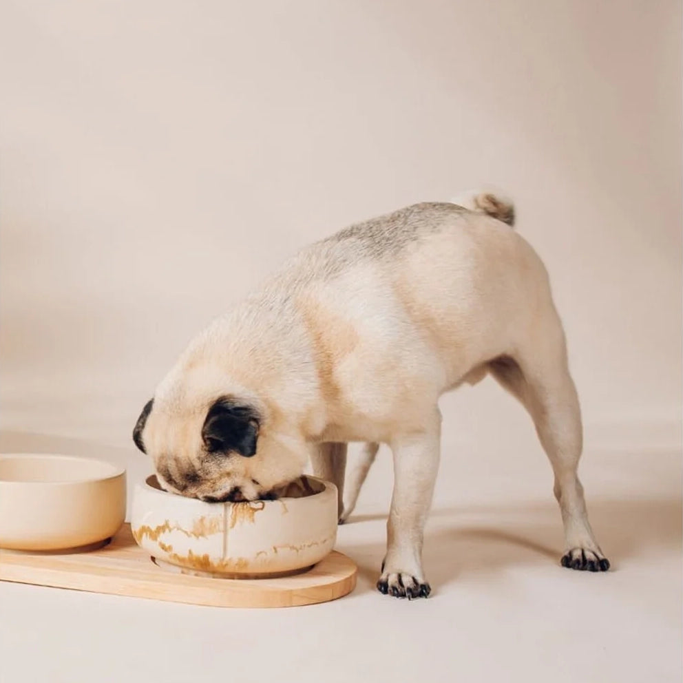 Classic Feeder Bowl - Camel Brown