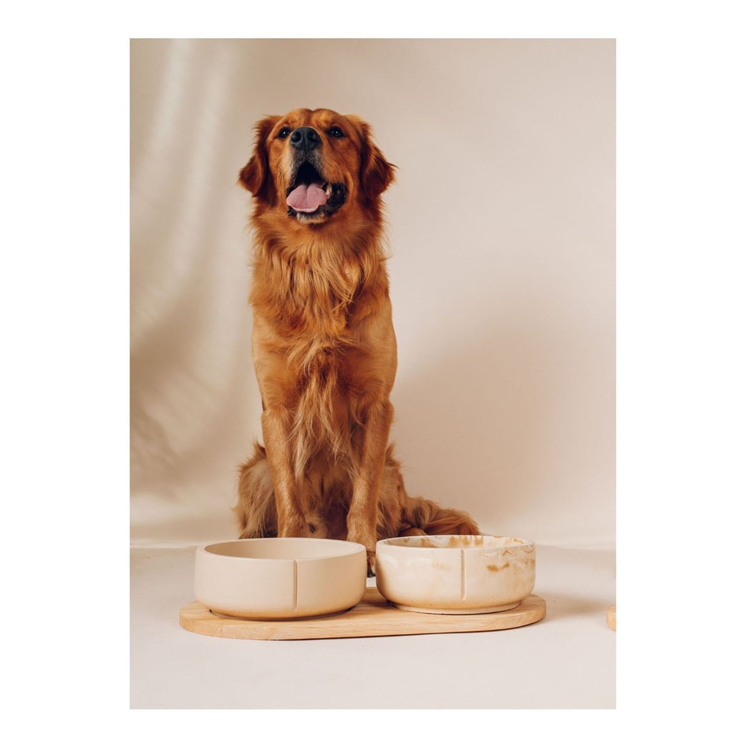 Classic Feeder Bowl - Camel Brown