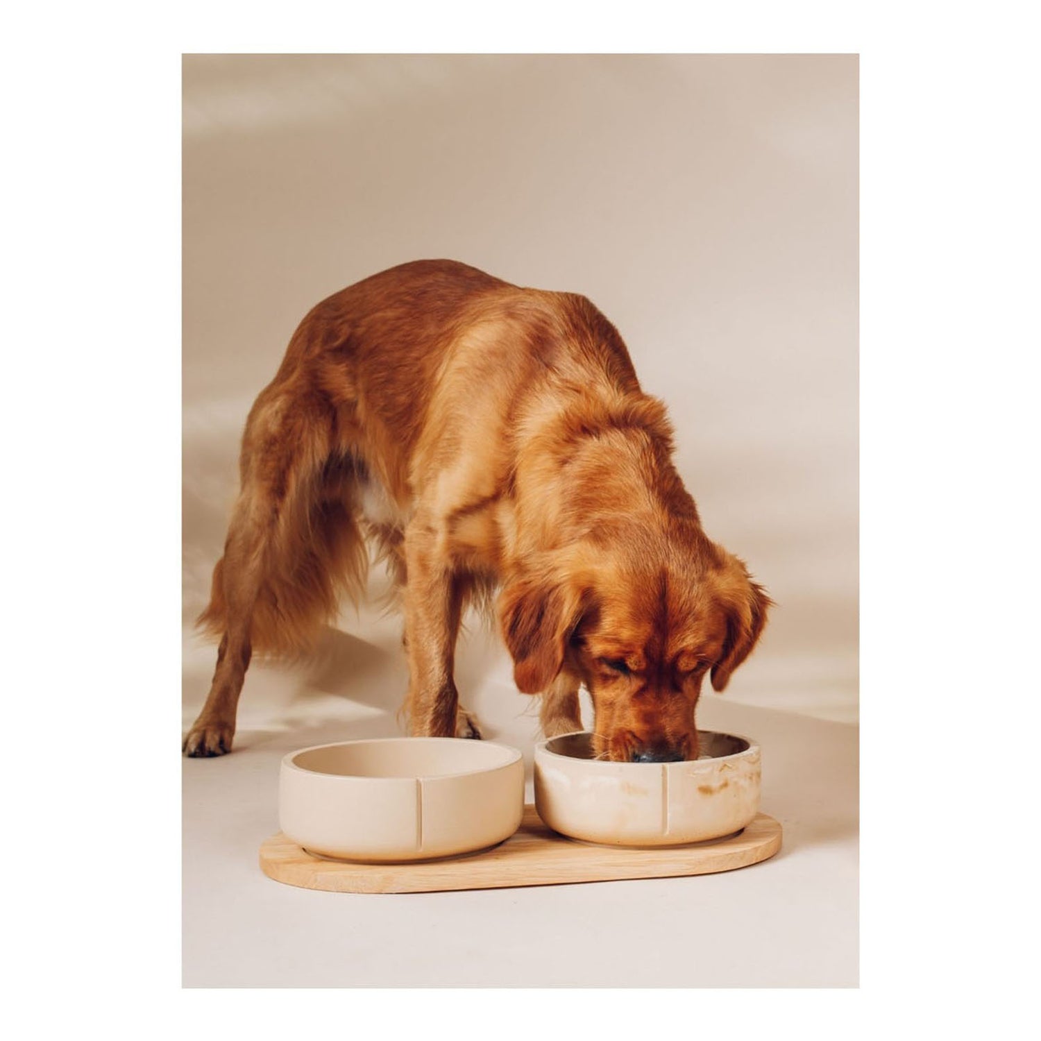 Classic Feeder Bowl - Camel Brown