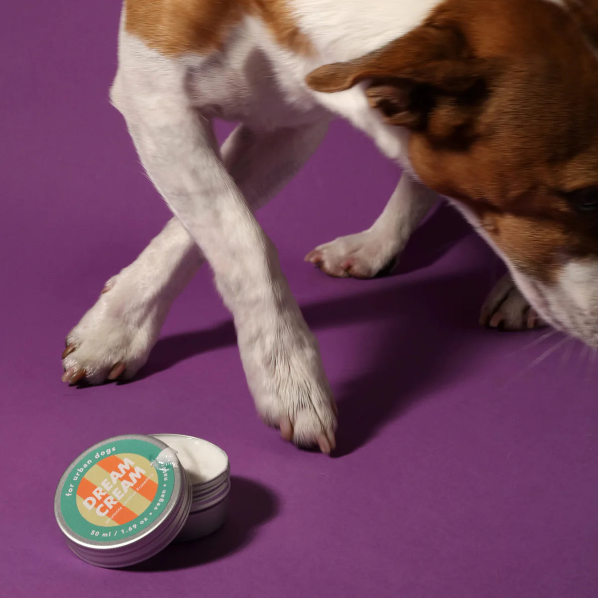 Dream Cream | Nourishing Cream
