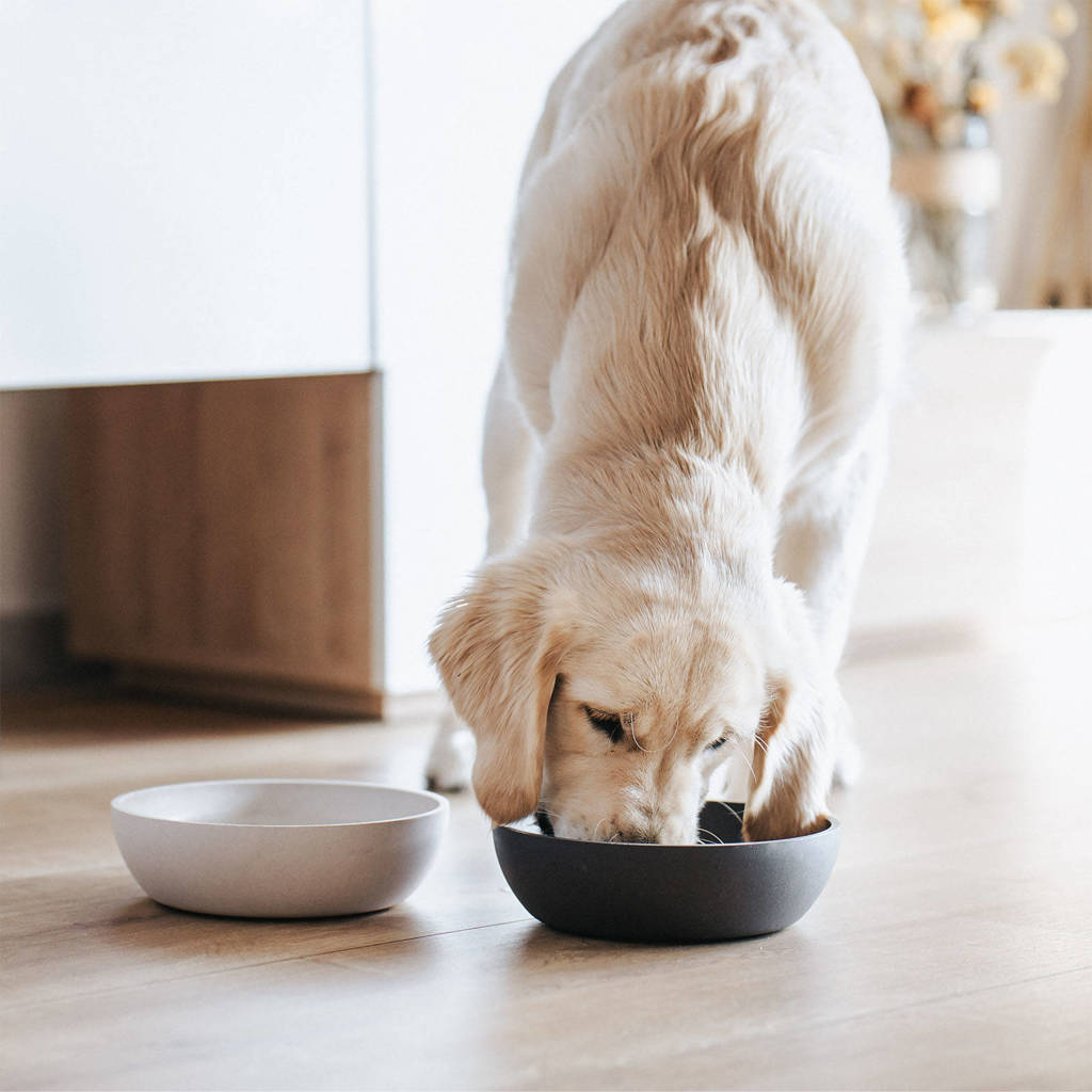 Bamboo Dog Bowl - Dark Grey